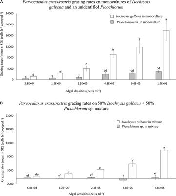 Grazing by the Copepod Parvocalanus crassirostris on Picochlorum sp. at Harmful Bloom Densities and the Role of Particle Size